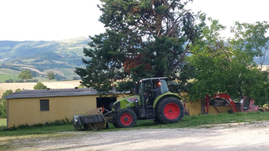 Pietra Maula Agriturismo Castelraimondo Luaran gambar