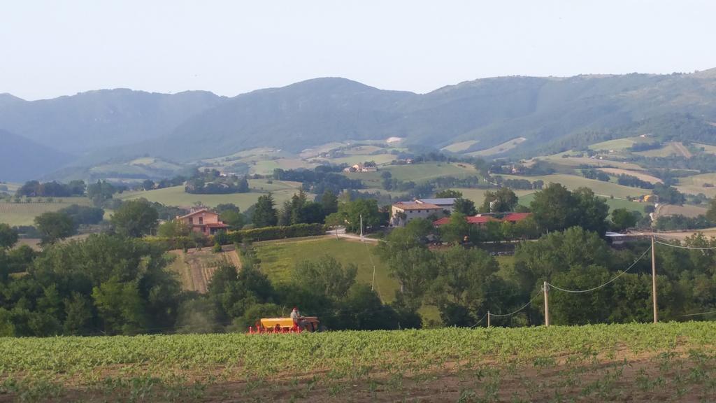 Pietra Maula Agriturismo Castelraimondo Luaran gambar