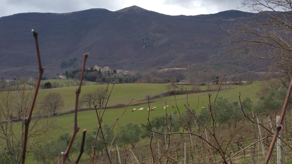 Pietra Maula Agriturismo Castelraimondo Luaran gambar
