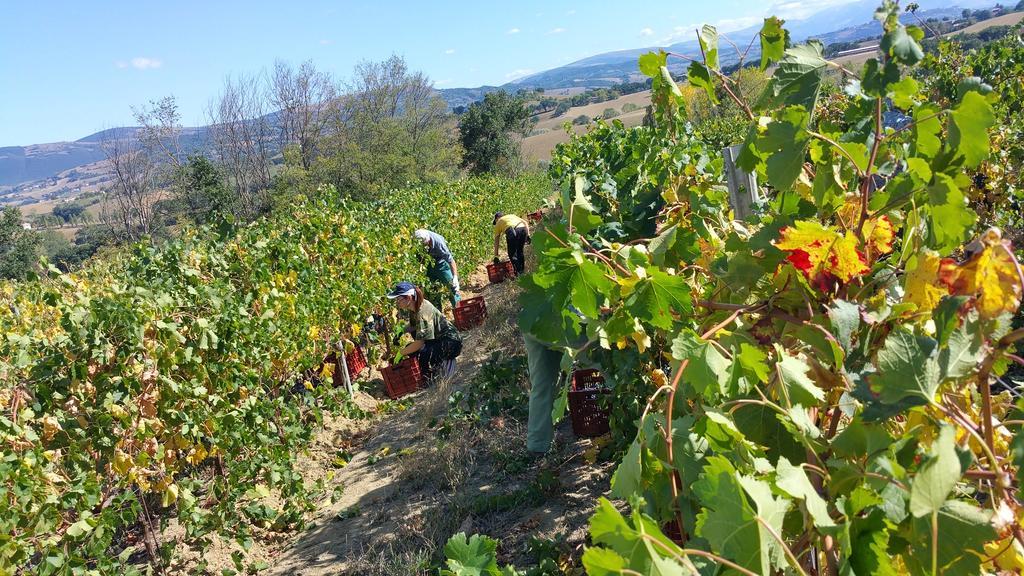 Pietra Maula Agriturismo Castelraimondo Luaran gambar