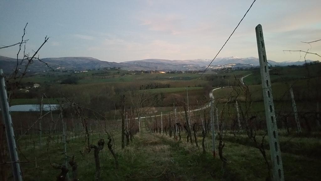Pietra Maula Agriturismo Castelraimondo Luaran gambar
