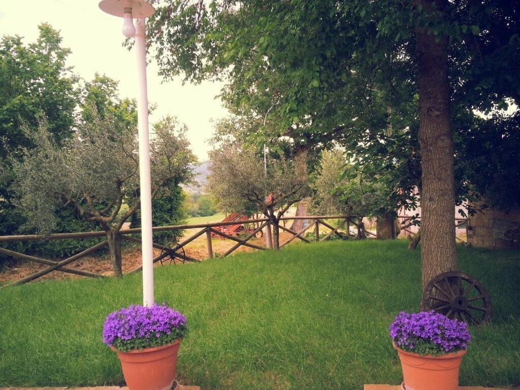 Pietra Maula Agriturismo Castelraimondo Luaran gambar